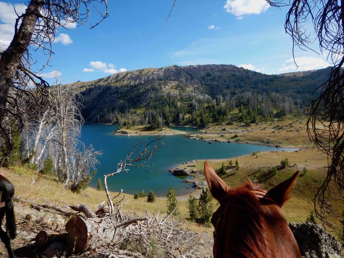 Buffalo Valley Ranch